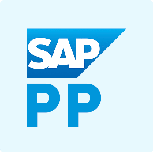 sap-pp-course