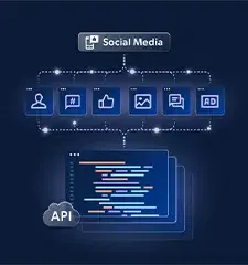 Social Media API